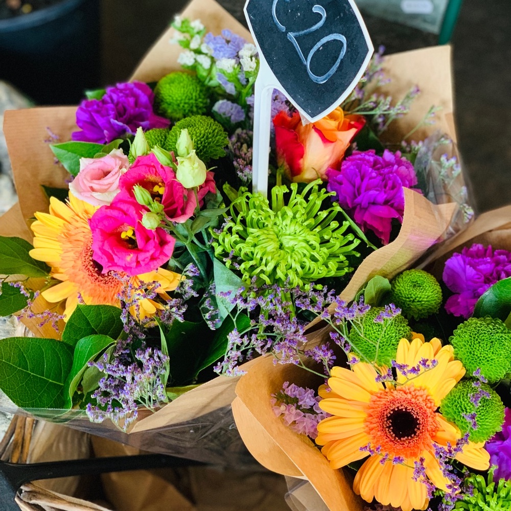 Meet your Posher, Diona